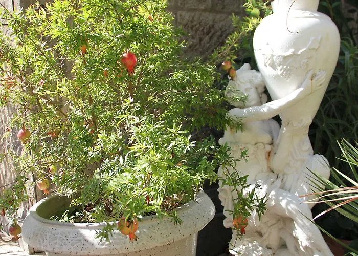 Emona Aquaeductus 4*